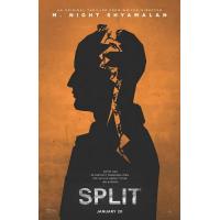 A2-12 4K UHD 分裂/思裂 SPLIT (2016) 豆瓣7.3