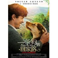 U354一條狗的回家路/贝拉400哩的约定/为了与你相聚 2019 评分6.6 