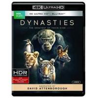 A7-53-54 4K UHD BBC:王朝 2018 评分9.7 2碟装