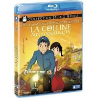 P026虞美人盛开的山坡 