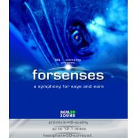 F256索尼音乐顶级蓝光测试碟1