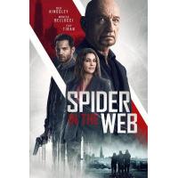 D725网中蜘蛛 Spider In The Web (2019)
