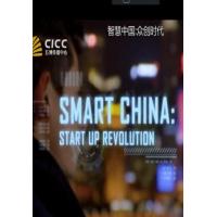 D885智慧中国 第一季 (2016)纪录片（高清版）评分7.5