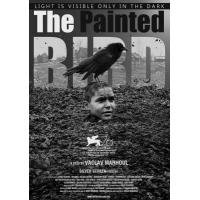 H711 BD50被涂污的鸟 2019 评分8.1