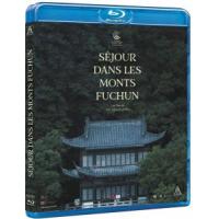 K746春江水暖 Dwelling in the Fuchun Mountains 2019 评分7.5