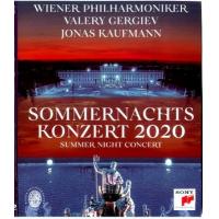 L840 2020美泉宫仲夏之夜音乐会 一年一次夏季古典音乐盛会