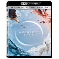 A12-58-59 4K-UHD BBC 完美星球 2碟装 A Perfect Planet (2021) 豆瓣9.7分 全景声 HDR10