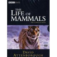 N679-680哺乳类全传 2碟装（高清版）2002 豆瓣评分9.3分，BBC出品自然系列纪录片神作