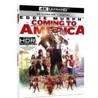 A13-56 4K-UHD 美国之旅 杜比视界 Coming to America (1988)