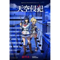 N875-876天空侵犯 2碟装（高清版）(2021)日本动画片 