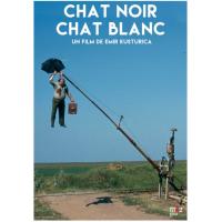 R611黑猫白猫 1998 豆瓣评分8.5分