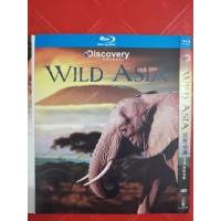 R617-620狂野亚洲 2010 4碟