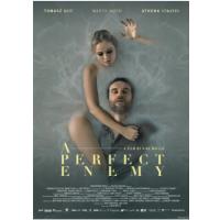 R761完美敌人 2021年欧洲最新上映惊悚悬疑大作