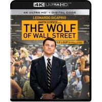 A15-30 4K-UHD 华尔街之狼/华尔街狼人 The Wolf of Wall Street (2013) 杜比视界
