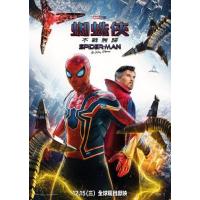 U855蜘蛛侠：英雄无归/新蜘蛛侠3 正式版 Spider-Man: No Way Home (2021)