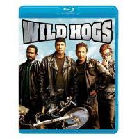 V610荒野大飚客/暴走四壮士 Wild Hogs(2007) 带粤语