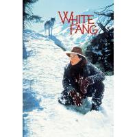 W795雪地黄金犬/白芳 White Fang (1991)带国配 高清版 豆瓣8.5