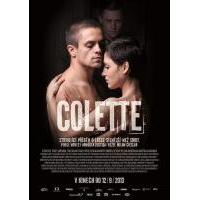 W807科莱特 Colette (2013) 带国配 高清版