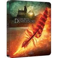 H1054 BD50 神奇动物3：邓布利多之谜(2022) 全景声