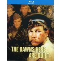 B1474这里的黎明静悄悄 (1972) 带国配 豆瓣8.7