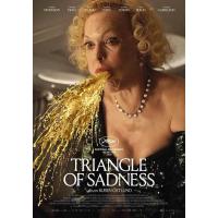 H1138 BD50 悲情三角(2022) 豆瓣7.5