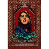 H1156 BD50 圣蛛 2022 50G