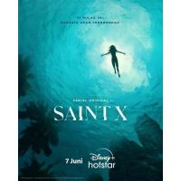 J1083-1084圣十字 2碟装 2023该剧改编畅销小说