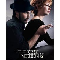 N1078-1079佛西与沃登 2碟装 2019年美国上映音乐传记剧集大作