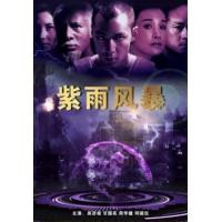 N1108紫雨风暴 高清版 1999香港90年代上映经典动作片