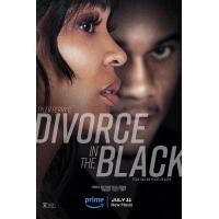 T1252离婚怨曲 2024美国最新惊悚大作