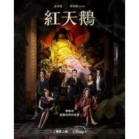 U1130-1131红天鹅 2碟装 2024最新浪漫复仇巨制