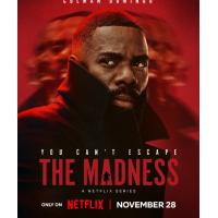 X1069-1070狂乱世道 2碟装 2024 NetFlix出品全新犯罪惊悚美剧