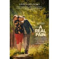 H1401 BD50 真正的痛苦/深痛导赏团(2024)