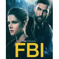 Y1291-1292联邦调查局 第四季 2碟 FBI Season 4(2021)
