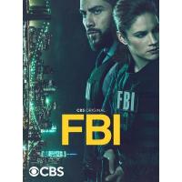 Y1293-1295联邦调查局 第五季 3碟 FBI Season 5(2022)