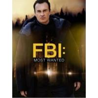 Y1300-1301联邦调查局：通缉要犯 第3季 2碟 FBI: Most Wanted Season 3 (2021) 