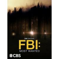 Y1302-1304联邦调查局：通缉要犯 第4季 3碟 FBI: Most Wanted Season 4 (2022) 