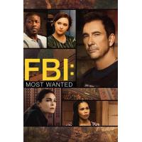 Y1305-1306联邦调查局：通缉要犯 第5季 2碟  FBI: Most Wanted Season 5 (2024) 