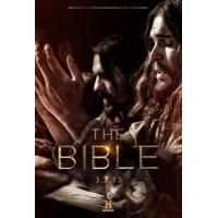 H1471-1474 BD50 圣经故事 4碟（A区盘，C区机勿拍）The Bible (2013) 豆瓣8.3