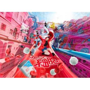 Y1476工作细胞真人版 2024 带国配 豆瓣7.3分