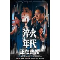 X1320-1322淬火年代 3碟装 2025年最新年代商战剧