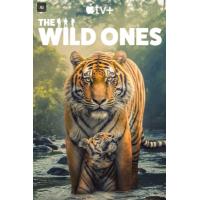 X1353-1354野性生灵 2碟装 2025年英国最新上映纪录片