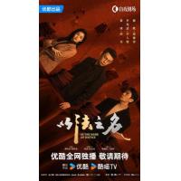 X1355-1357以法之名 3碟装 2025年央视最新高分热门口碑检察侦查剧