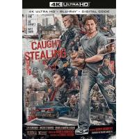 A22-22 4K UHD 偷天盗日/盗垒失败 (2025) 杜比视界 豆瓣6....