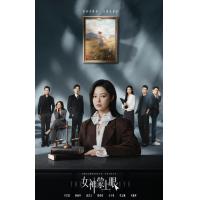 U1378-1381女神蒙上眼 4碟装 2026辛芷蕾、林雨申领衔主演的都市律政情感剧