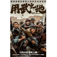 U1435用武之地 2025年中国上映动作战争片